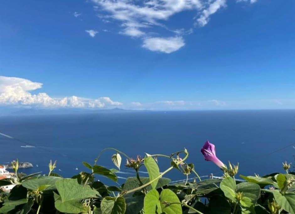 Apartment Casa Maria - Amalfi Coast
